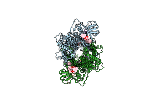 8VP3 image