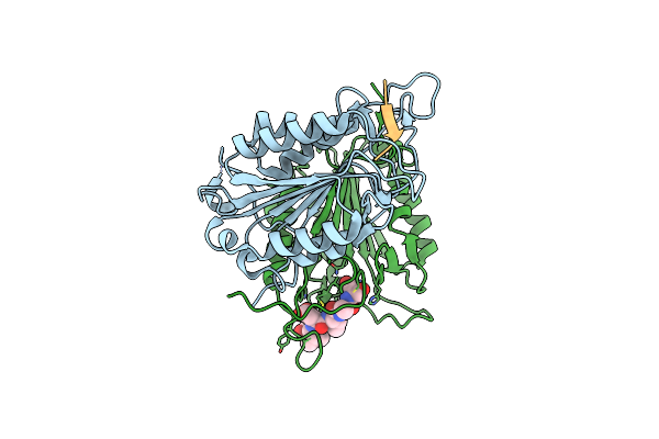 8VP4 image