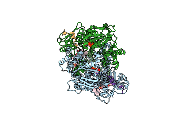 8VP5 image