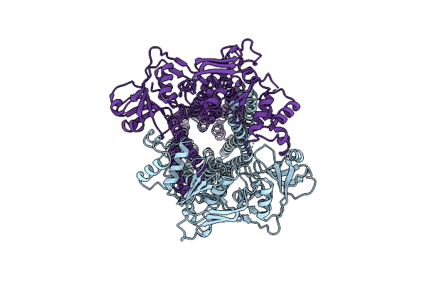 8VP6 image