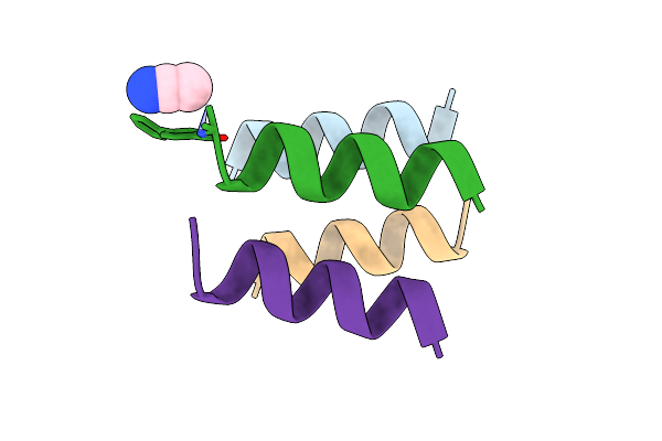 8VP7 image