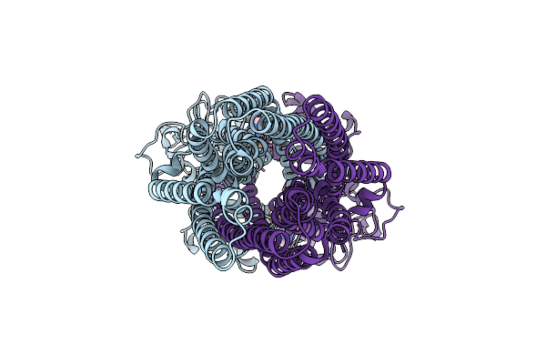8VP8 image
