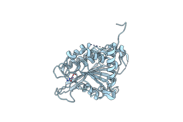8VPM image
