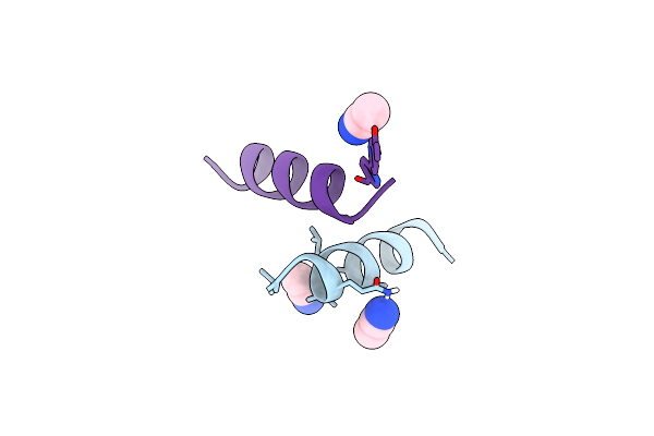 8VPT image
