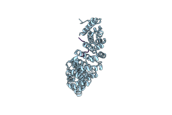 8VPU image