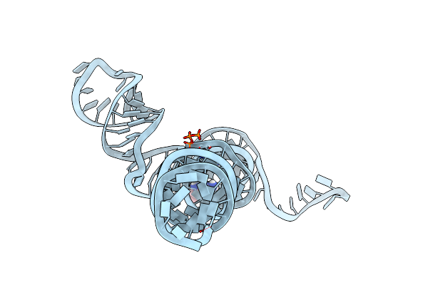 8VPV image