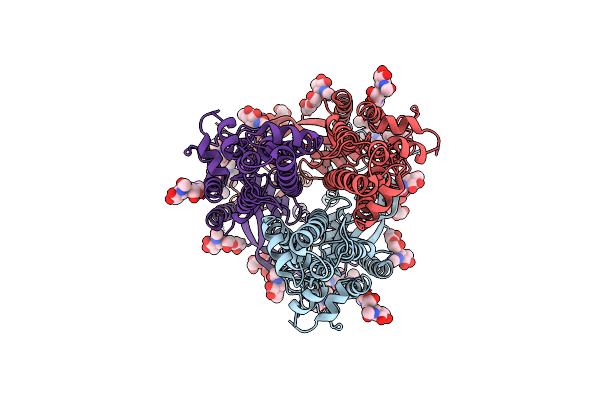 8VQA image