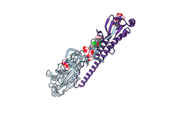 8VQM image