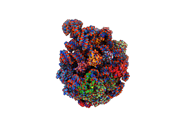 8VR8 image