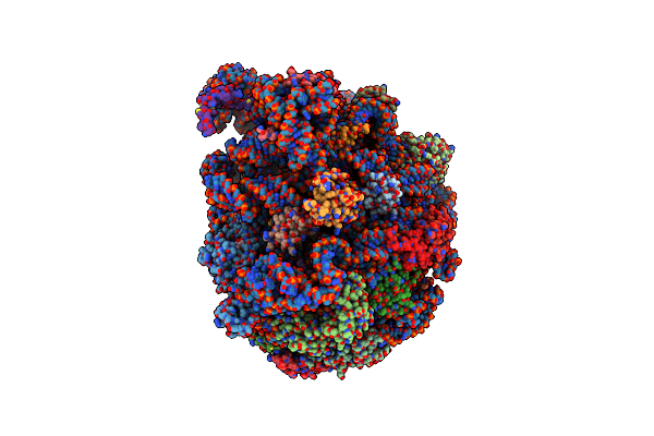 8VRL image