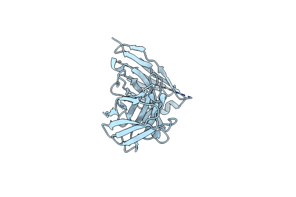 8VRR image