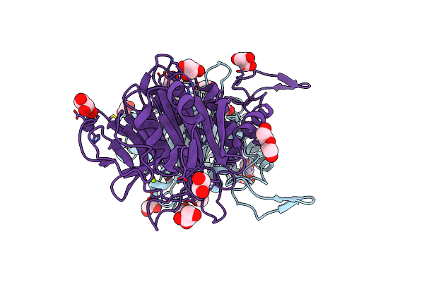 8VRX image
