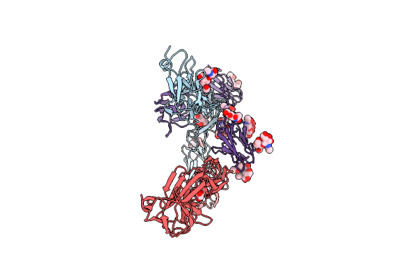 8VSE image
