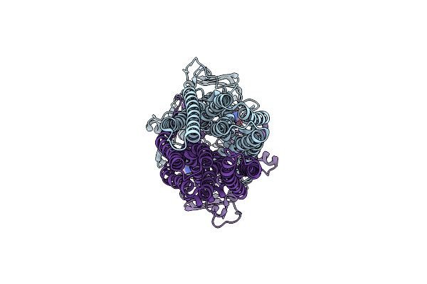 8VSI image