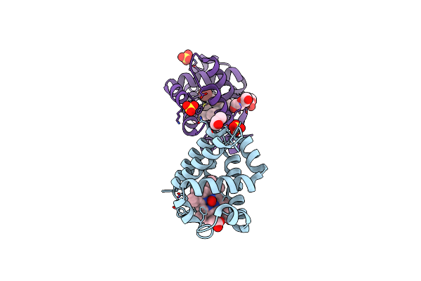 8VSK image
