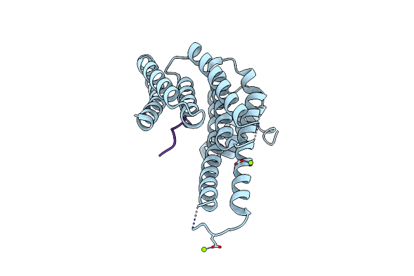 8VSL image