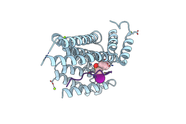 8VSN image