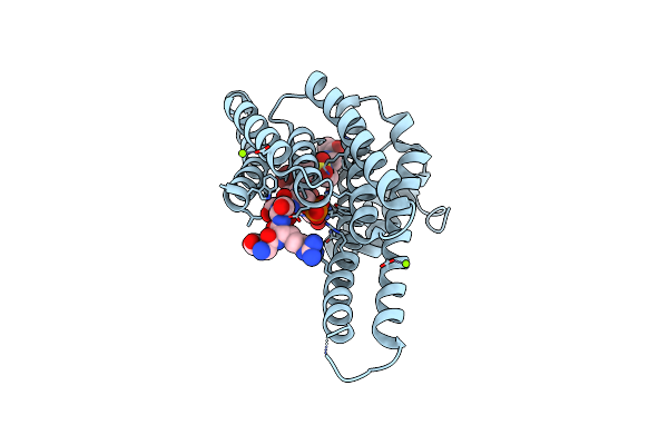 8VSO image