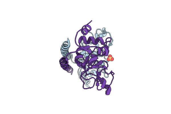 8VSQ image