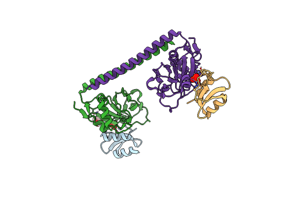 8VSR image