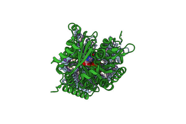 8VT7 image