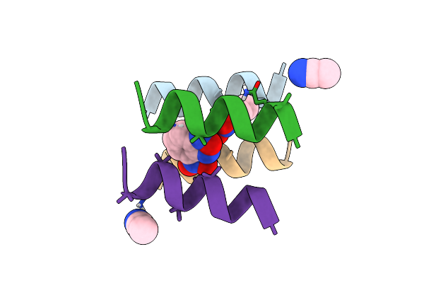 8VT8 image