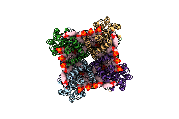 8VT9 image