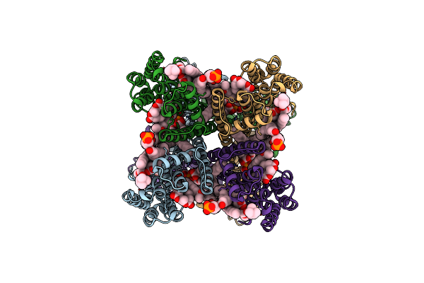 8VTA image