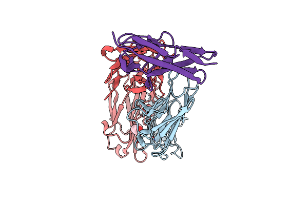 8VTD image