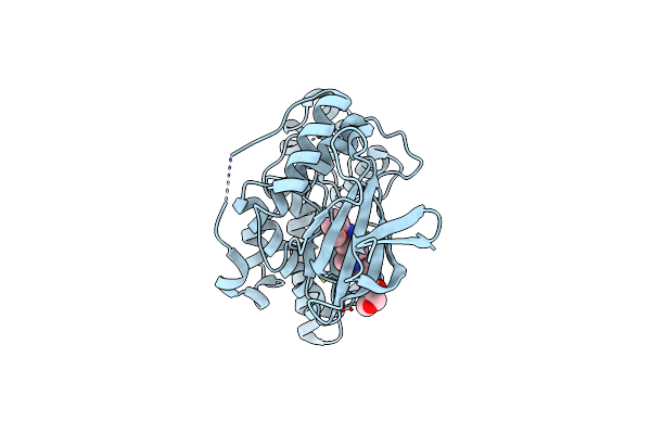8VTF image