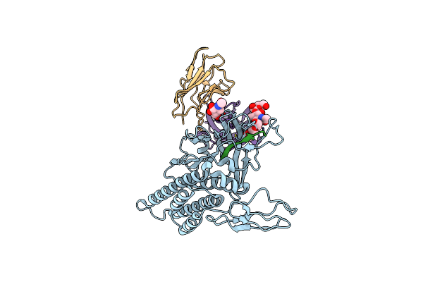 8VTI image
