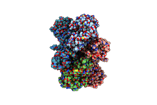 8VUS image
