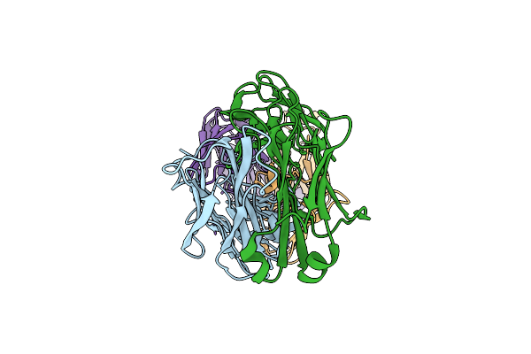 8VUZ image
