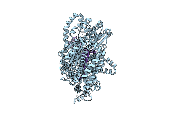 8VV2 image