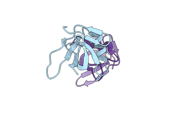 8VVA image