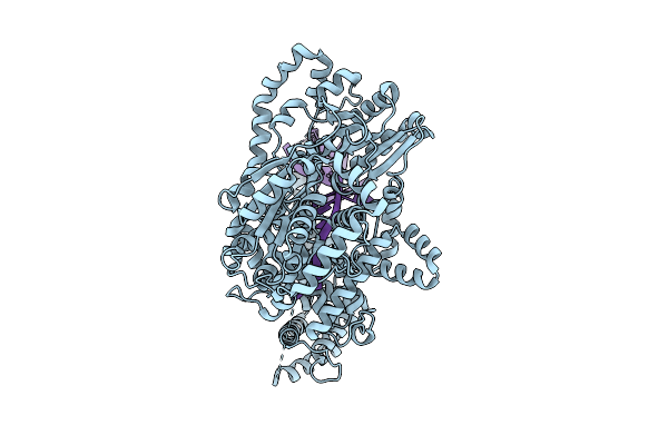 8VVD image