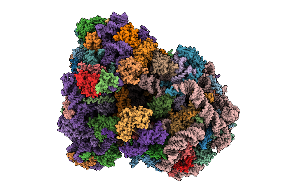 8VVS image