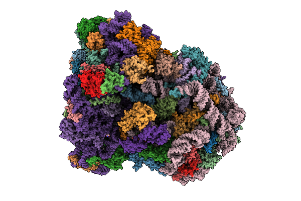 8VVU image