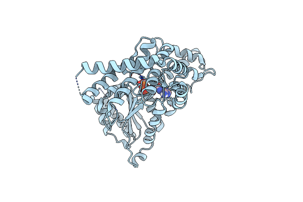 8VWB image