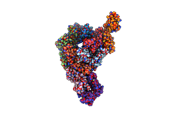 8VWG image