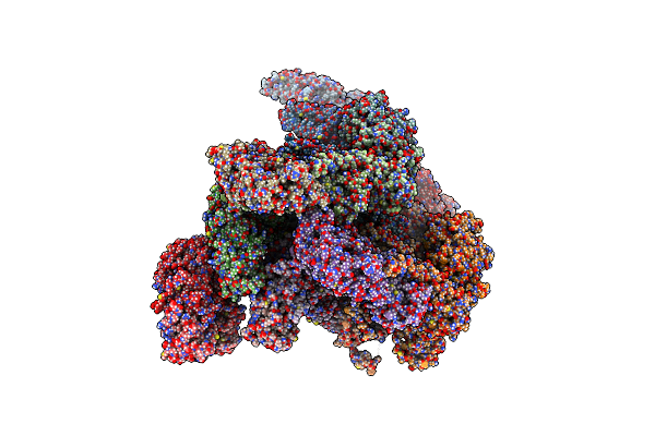 8VWI image