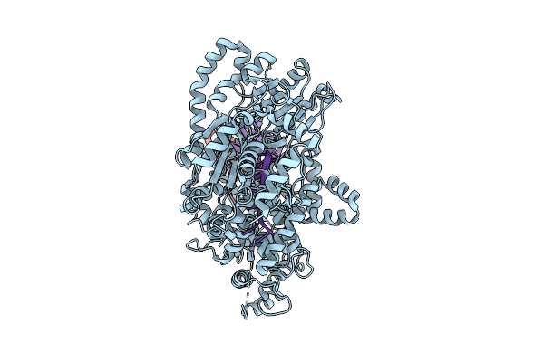 8VX1 image