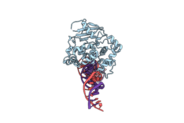 8VX4 image