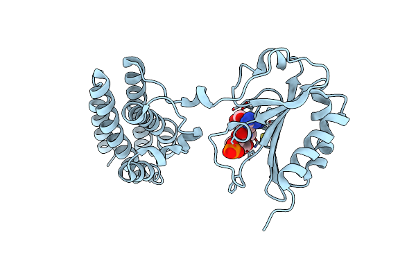 8VXB image