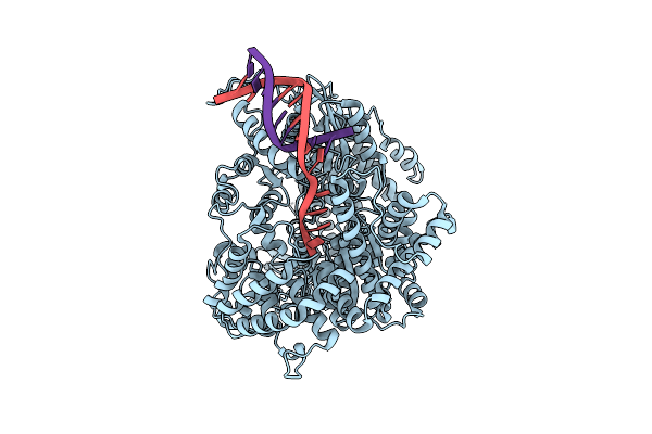 8VXC image