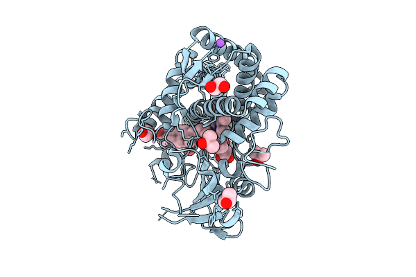 8VXG image