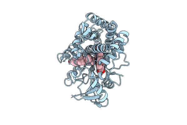 8VXI image