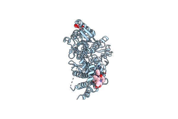 8VXM image