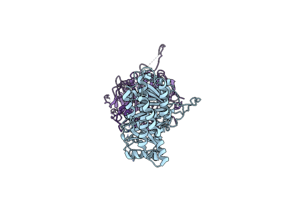 8VYB image