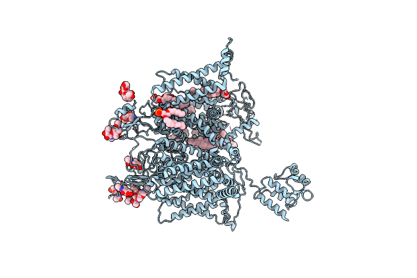 8VYJ image